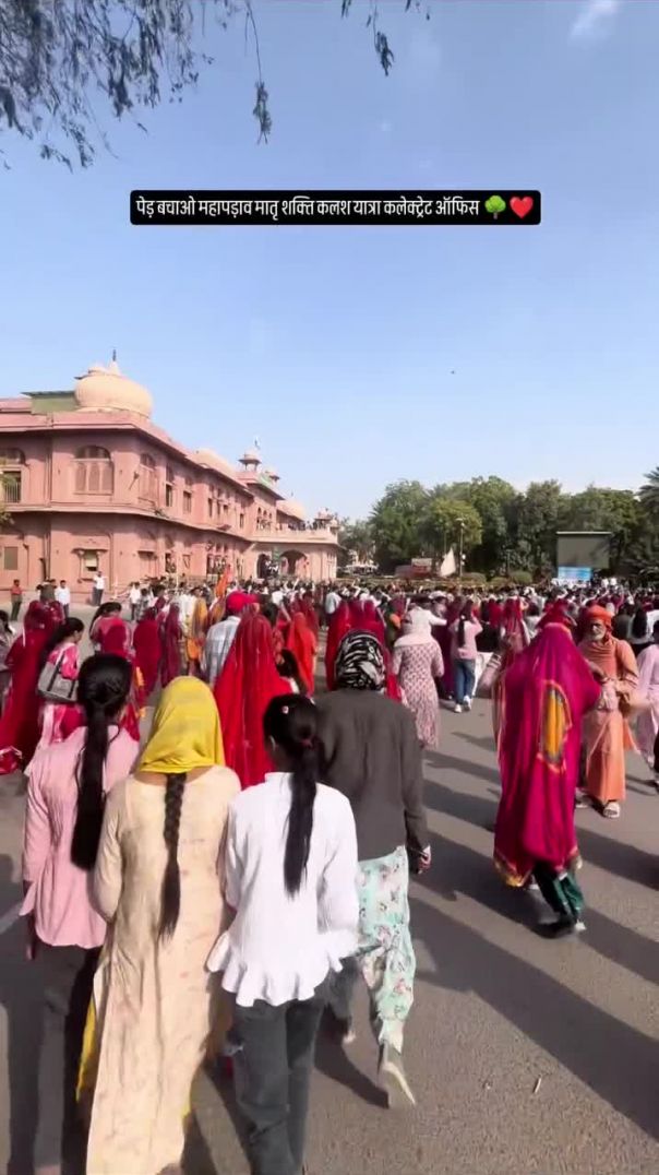 मातृ शक्ति कलेक्टर बीकानेर 🌳❤️