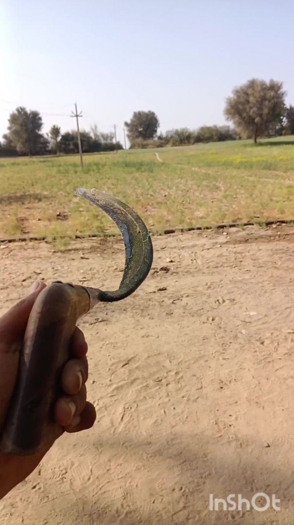 Vlogs with farm house