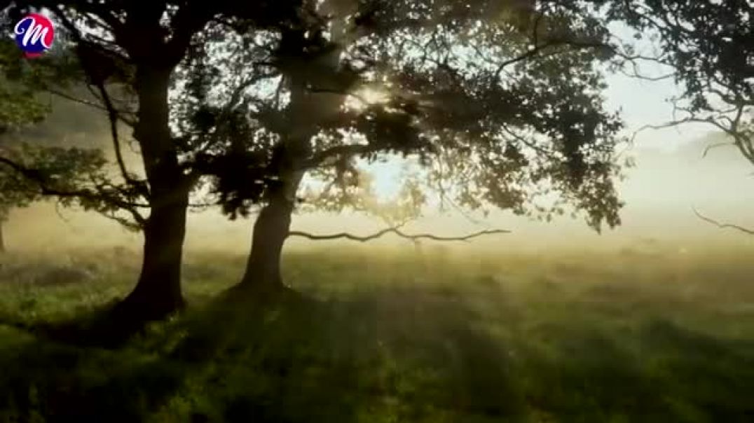 स्वर्ग_से_चलली_महारानी___Ankush_Raja_New_Song___Aastha_Singh___Bhojpuri_Devi_Geet