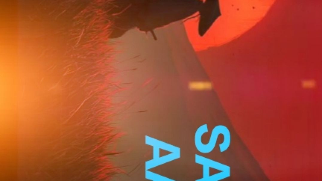 ⁣Sandeshe aate hain Boarder 2 lofi song