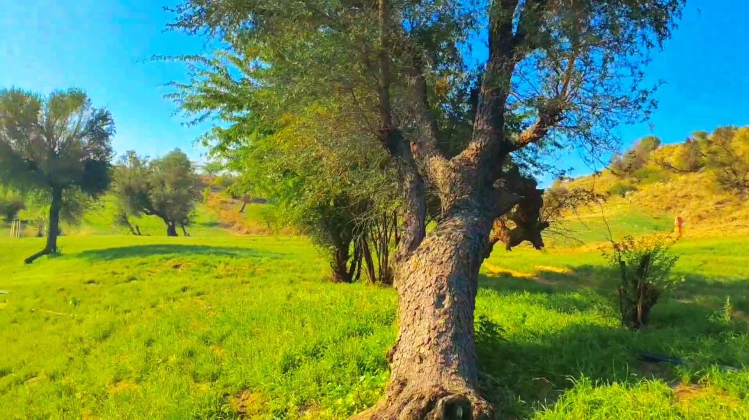 ⁣मेरे गांव का नजारा ❤️🤟📸📸