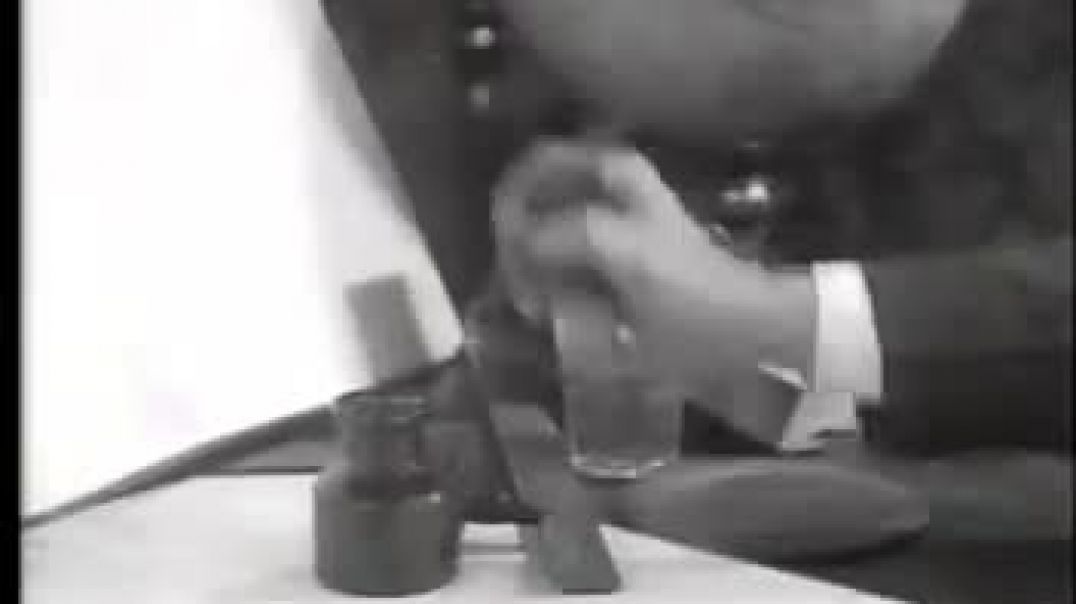 ⁣Koko_s Earth Control(360P)