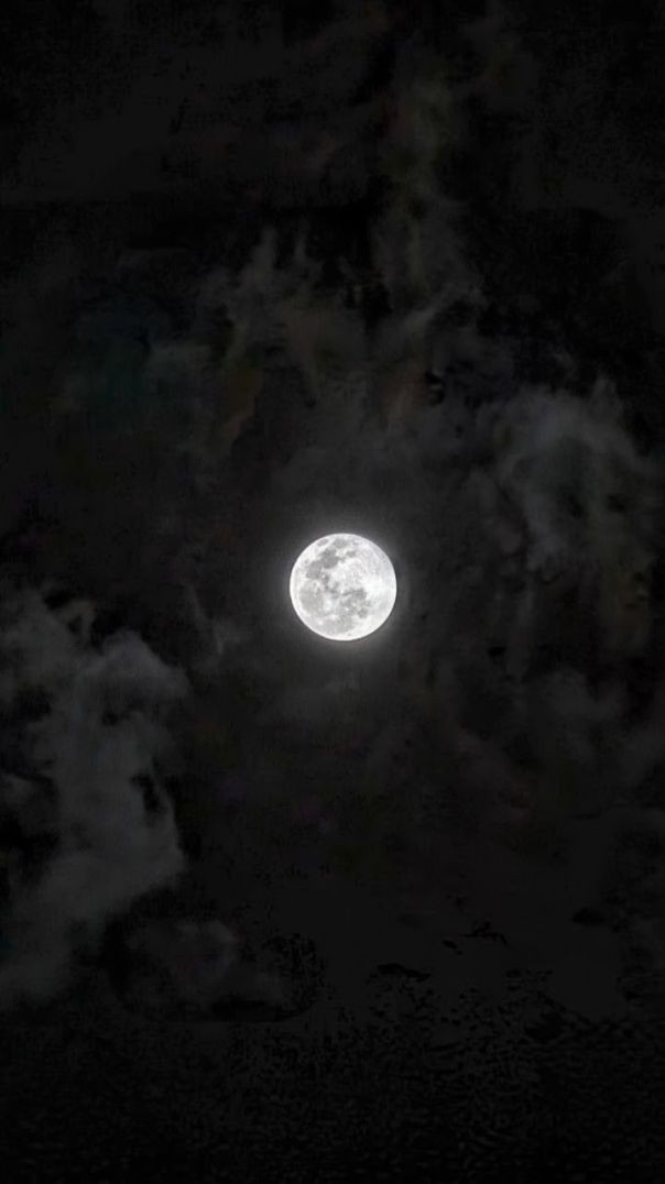 VID_20260206_121955_391