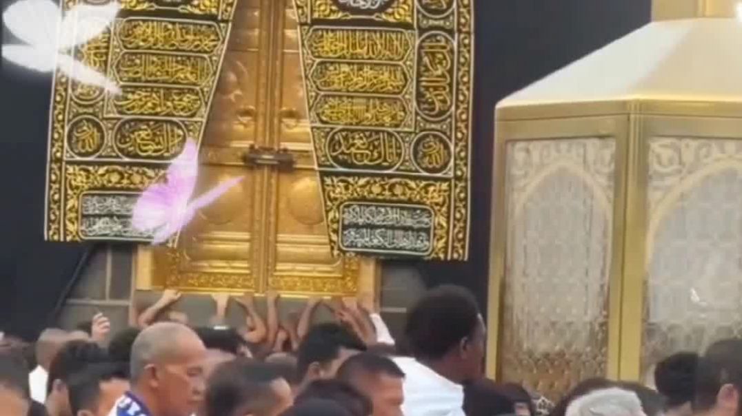 ⁣सब फानी है, बस खुदा की जात बाकी है