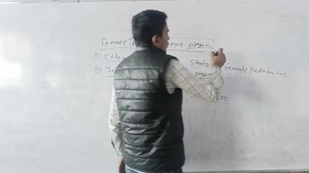 ⁣Reproductive system