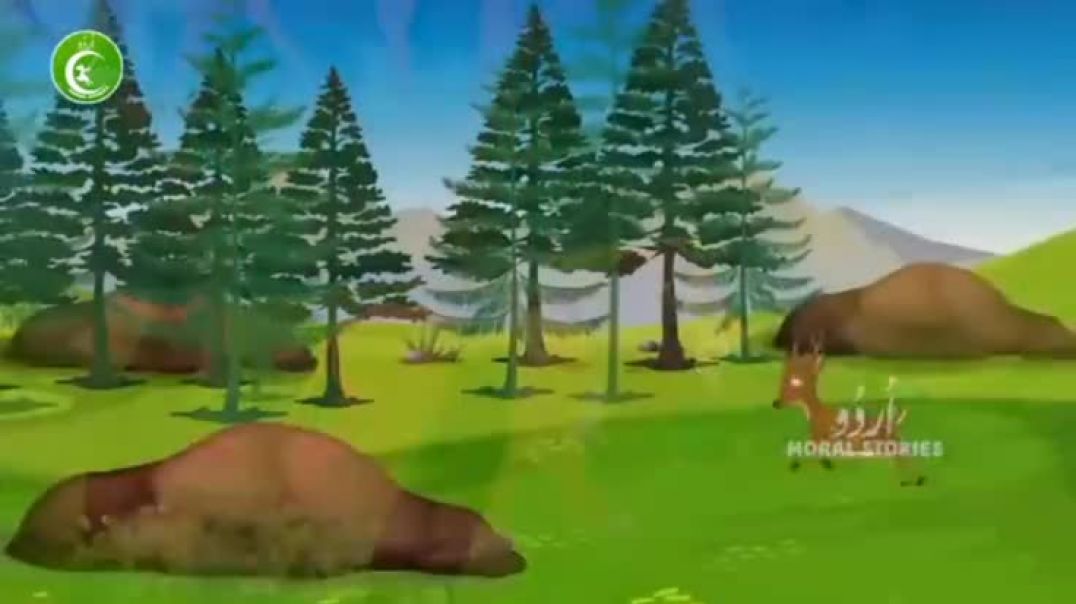 8a36e0629feaca186bb59452134ecb6b