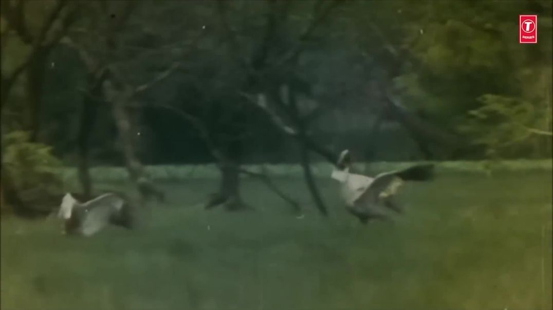 बारिशों की छम छम में Barishon Ki Chham Chham Mein  _ UDIT NARAYAN _ ANURADHA PAUDWAL _ Jaikara(1080P