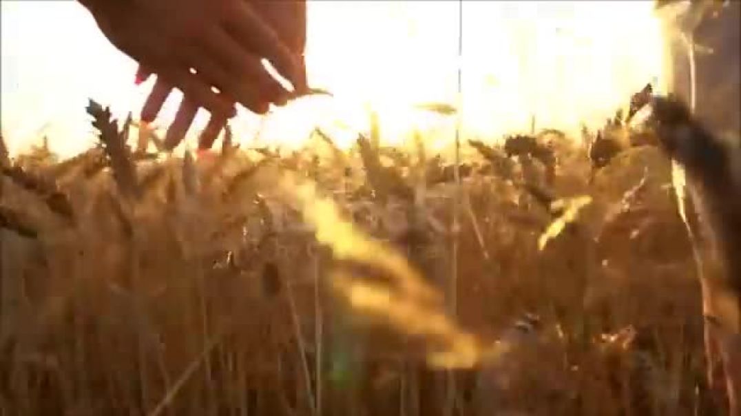 आ_कहीं_दूर_चले_जाएं_हम___Udit_Narayan___Alka_Yagnik___Javed_Akhar___Rajesh_Roshan___Romantic_Song__(