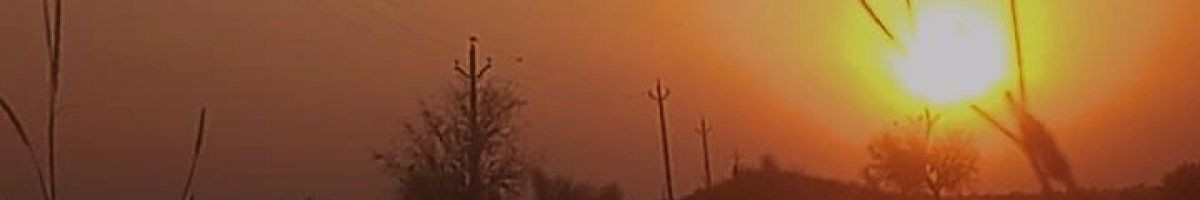 112450976406179655346 