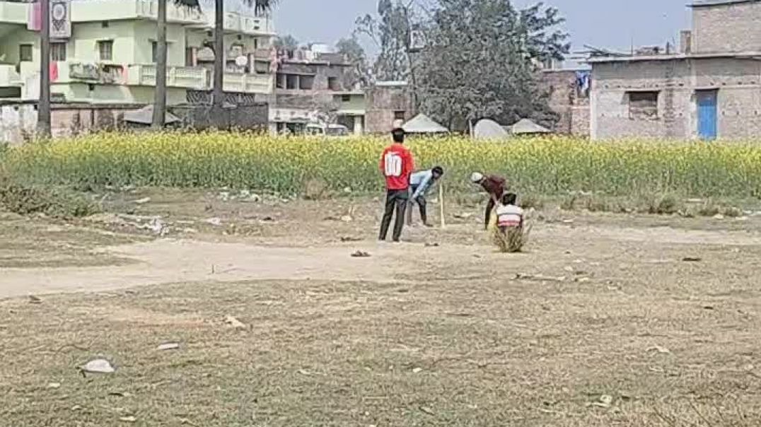 video_20260208_112524