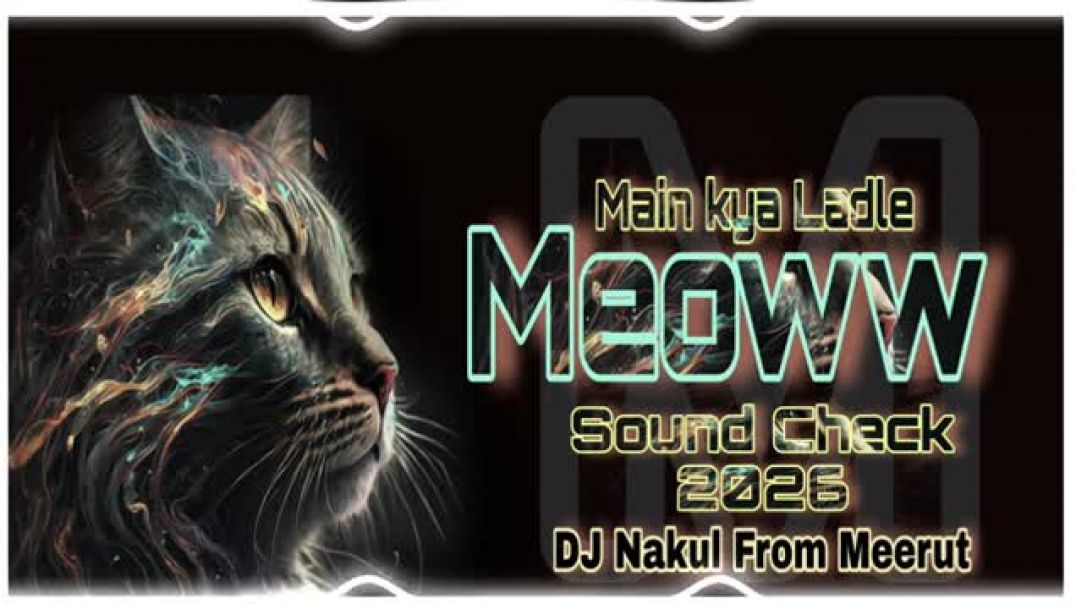 ⁣Main_Kya_Ladle_x_Meoww_Remix___Ghop_Ghop_Beat___Viral_Instagram_Meme_Song_2026(360p)