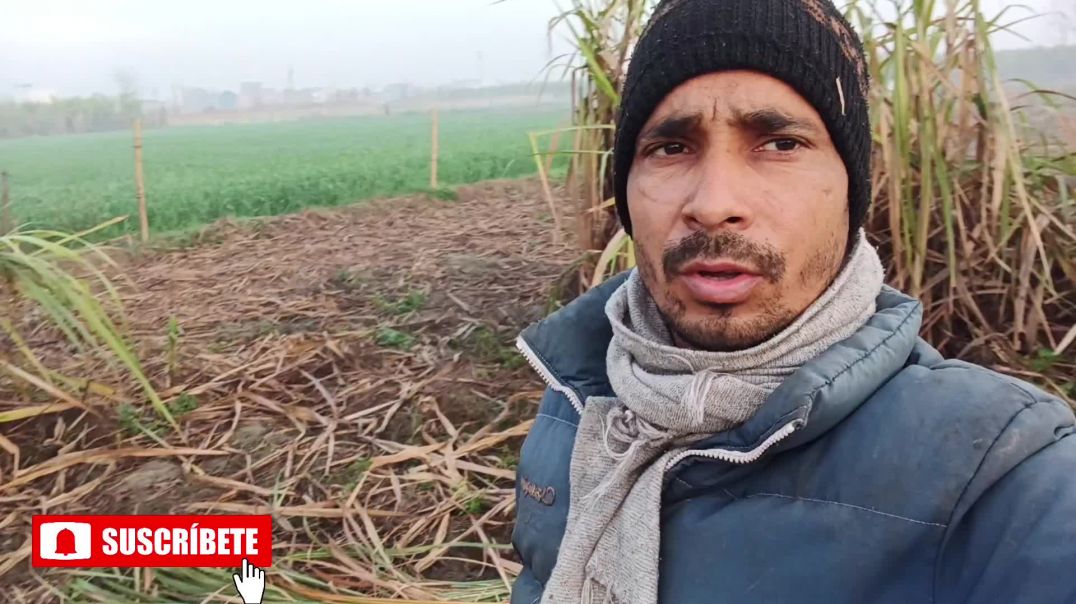 ⁣आज खेत में बना दिया vlog