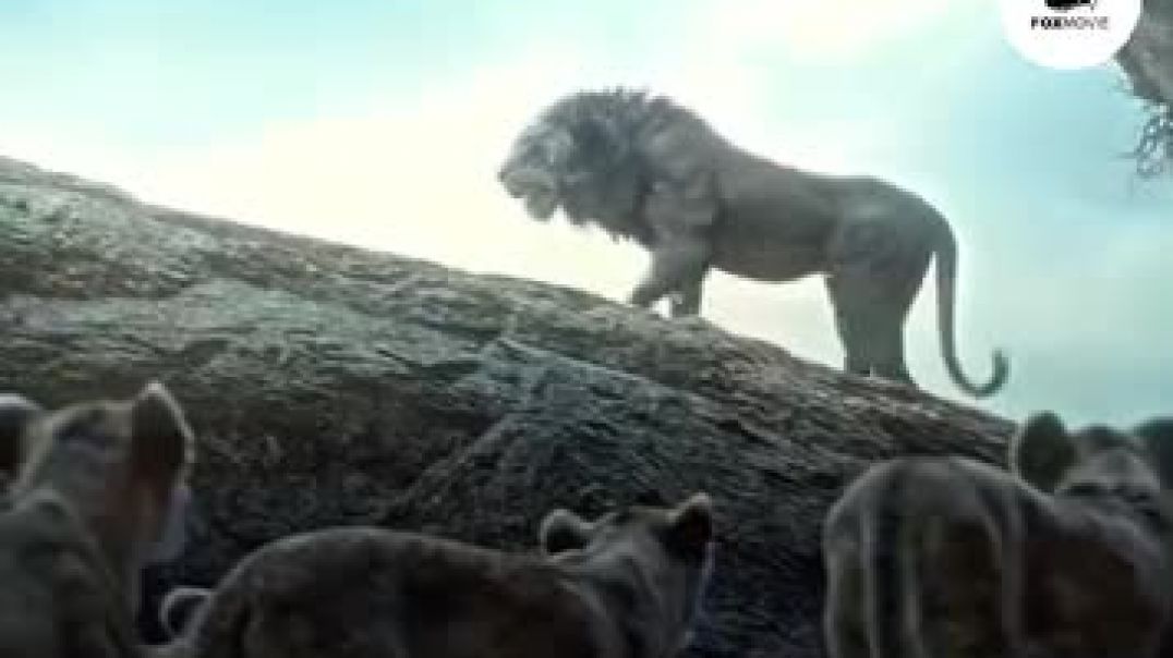 ⁣Linking life ki kahani