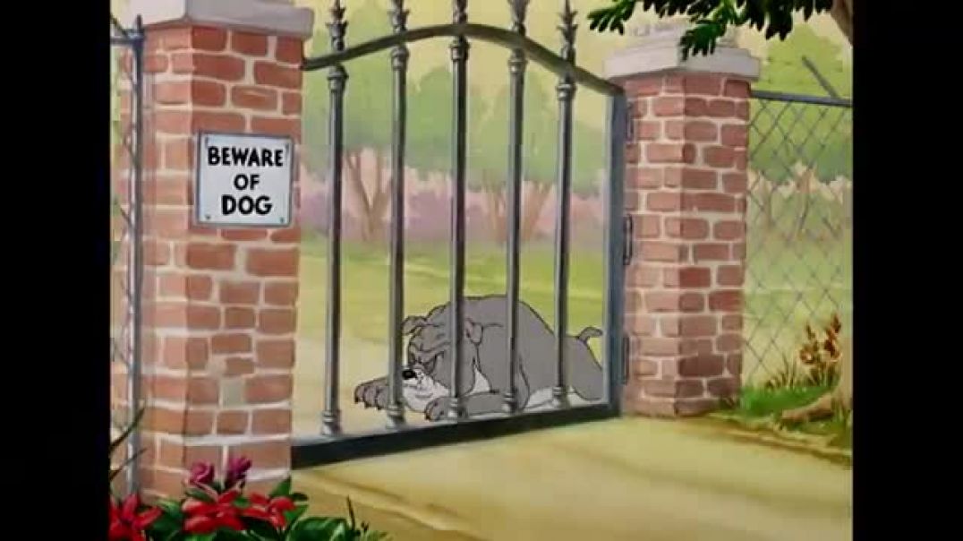 Tom___Jerry_em_Português___Brasil___Um_Pouco_de_Ar_Fresco!___WB_Kids