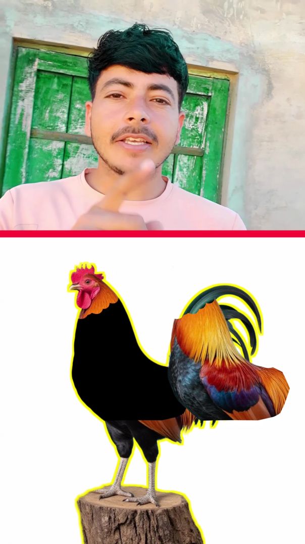 Challenge you 😲❎️