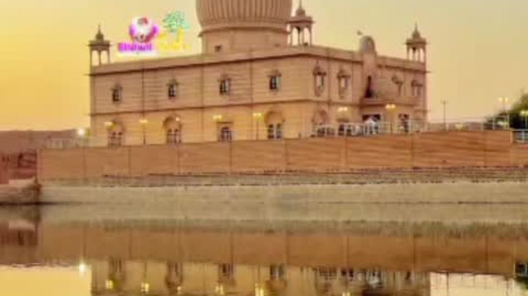 ⁣VID-20260219-WA0000