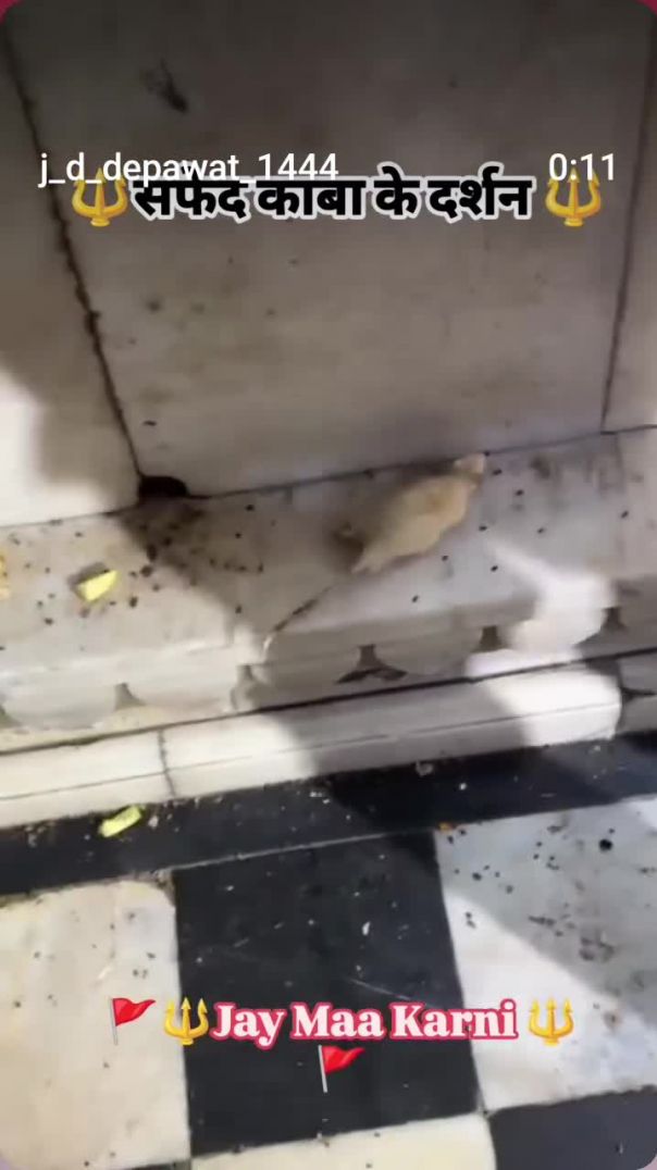 VID_20260204_234548_136