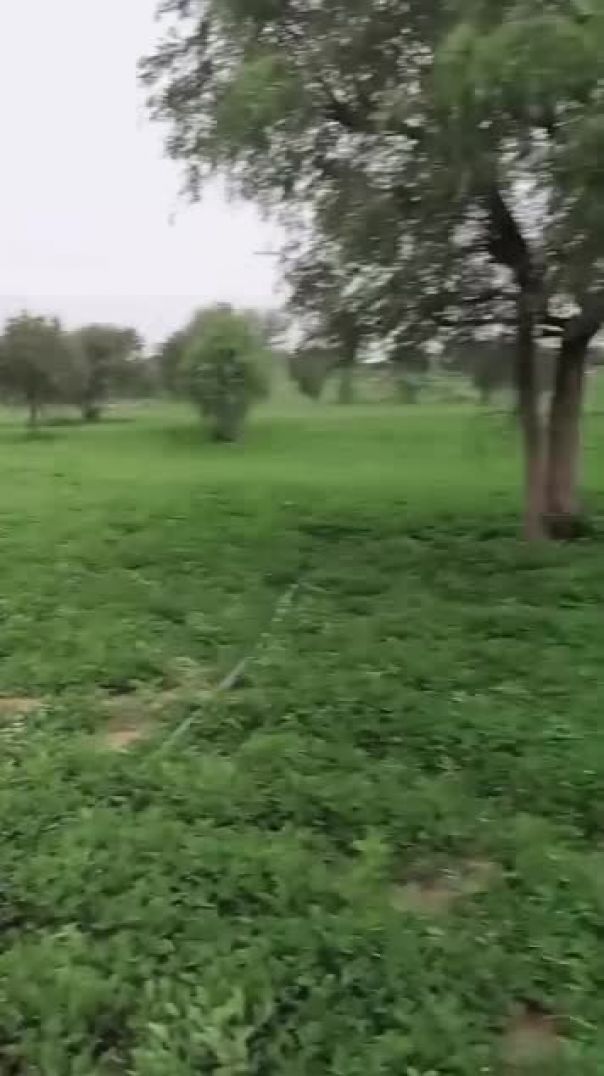 FB_VID_3609231577873264500