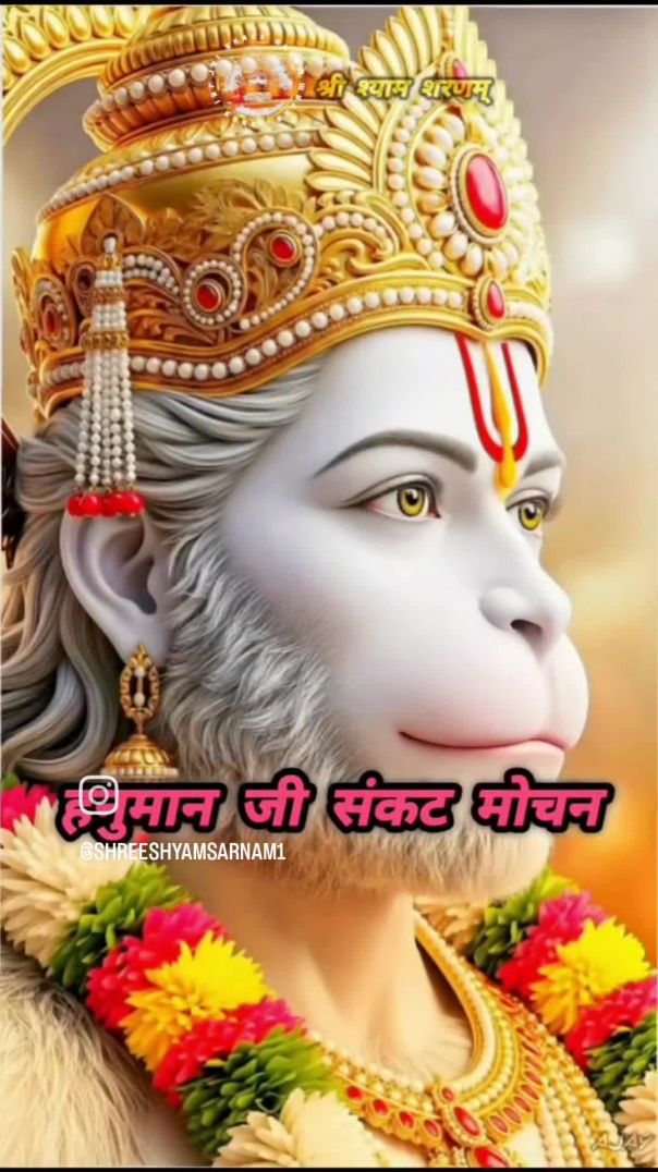 VID_20260206_194208_344