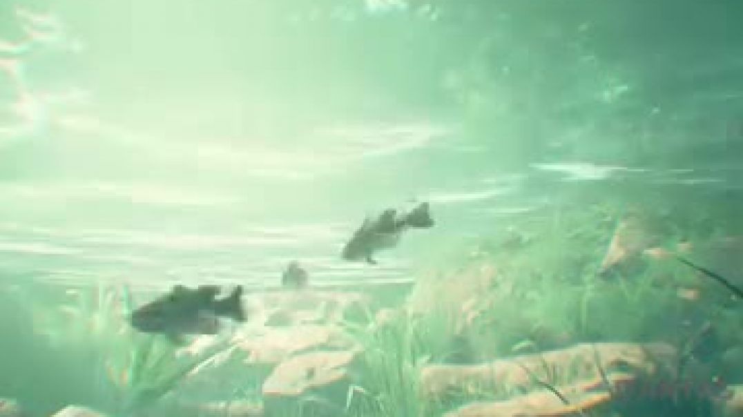 ⁣Moment of loan 🎊🚩🫀💯✨️👍)