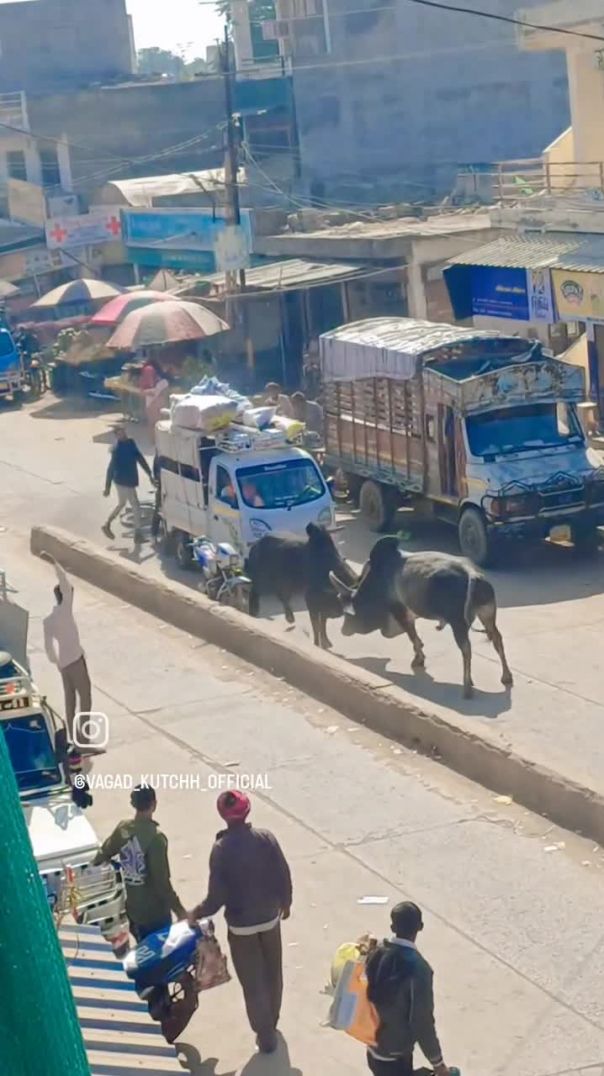 VID_20260210_013717_976