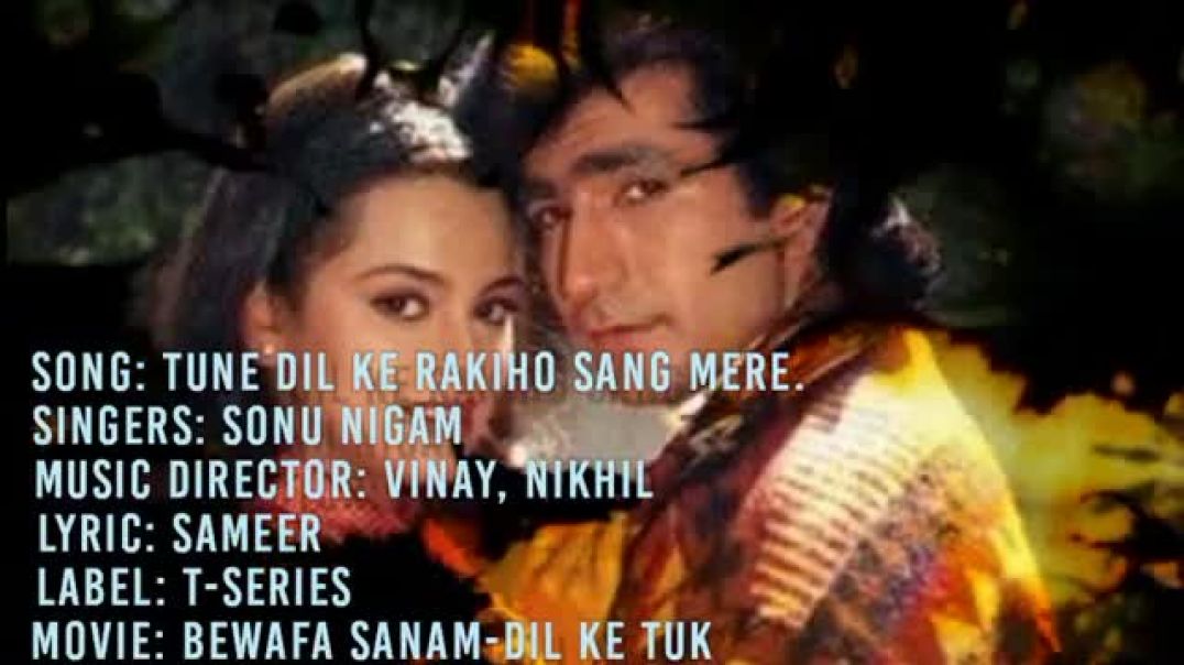 ⁣Dil_Pe_Chalai_Churiya-_दिल_पे_चलाई_छरियाँ_(Lyrics_Full_Song-Sonu_Nigam,BEWAFA_SANAM)Movie(360p)