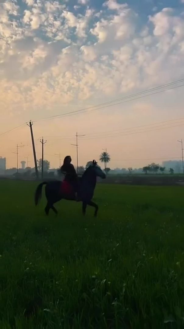 म्हारी घोड़ी री चाल, अर राजपूतानी रो कमाल 👑🐎देखण वालां री सांस अटक जावे सा#rajputani #rajastha