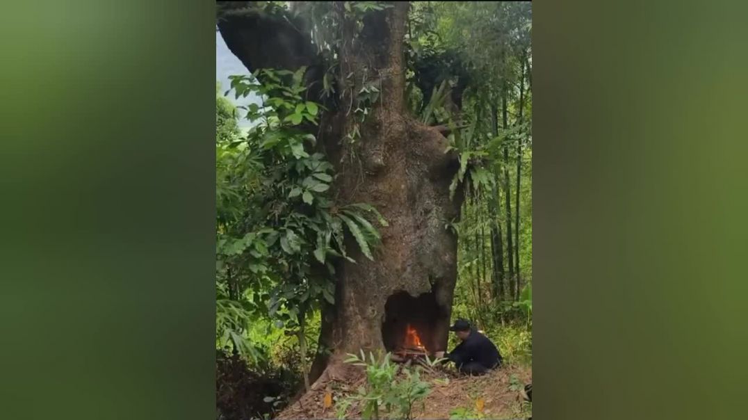 ⁣Entertainment video