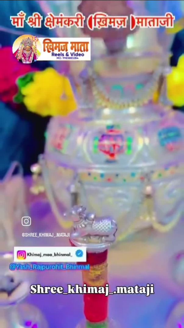 VID_20260201_032236_644