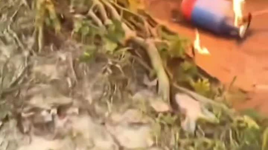 ⁣जनहित में जारी