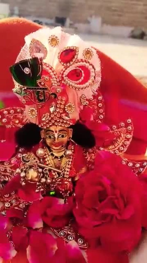 29_जनवरी_2026(360p)