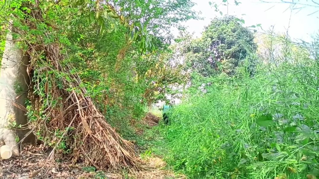 ⁣Ghost 👻 and jangal me bhoot ka rasta