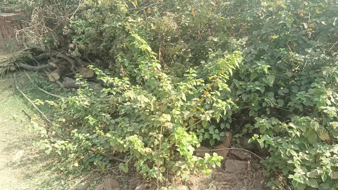 ⁣Long video me views nhi aate sahi tarike se hashtag lagao 2026