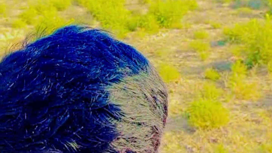 ⁣Morning टाइम का ब्लॉग वीडियो