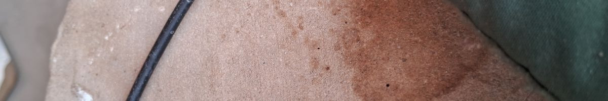 100344697598219059995 