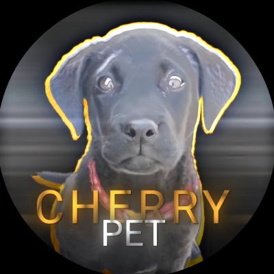 cherrydog