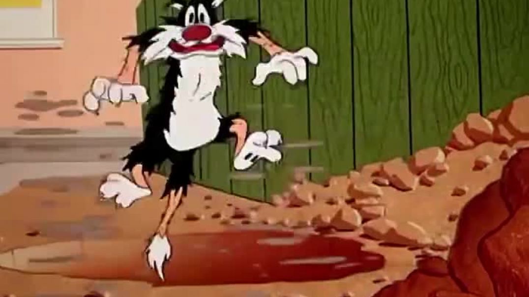 ⁣Join Subscription and Enjoy Full Cartoons Episodes