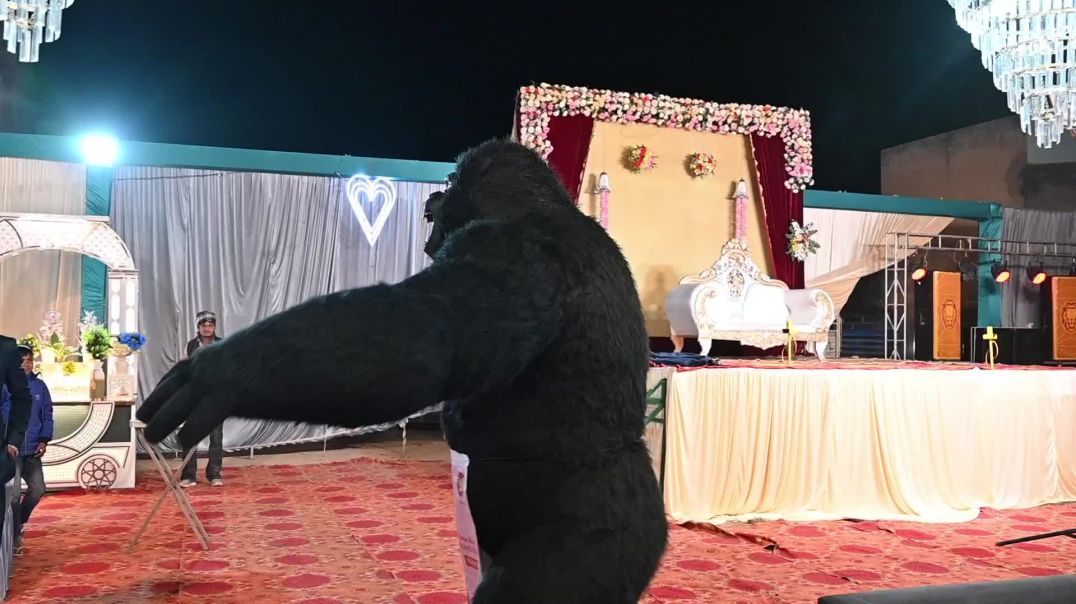 ⁣Wedding Shoot Nohar