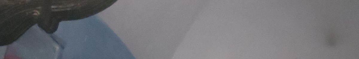 102679013666052946028 