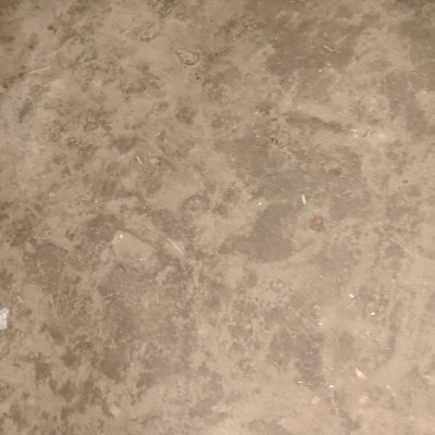 110471253883389187637 