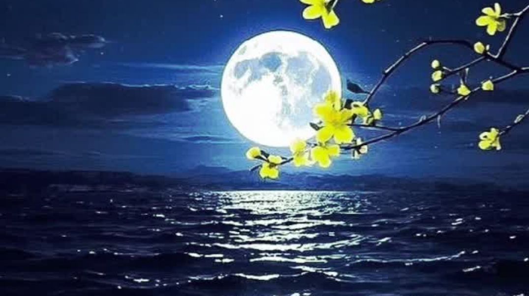 ⁣Kuchh purani yadon ki photo