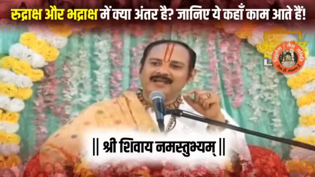 ⁣रुद्राक्ष और भद्राक्ष में क्या अंतर है? जानिए ये कहाँ काम आते हैं! @panditpradeepmishraofficial