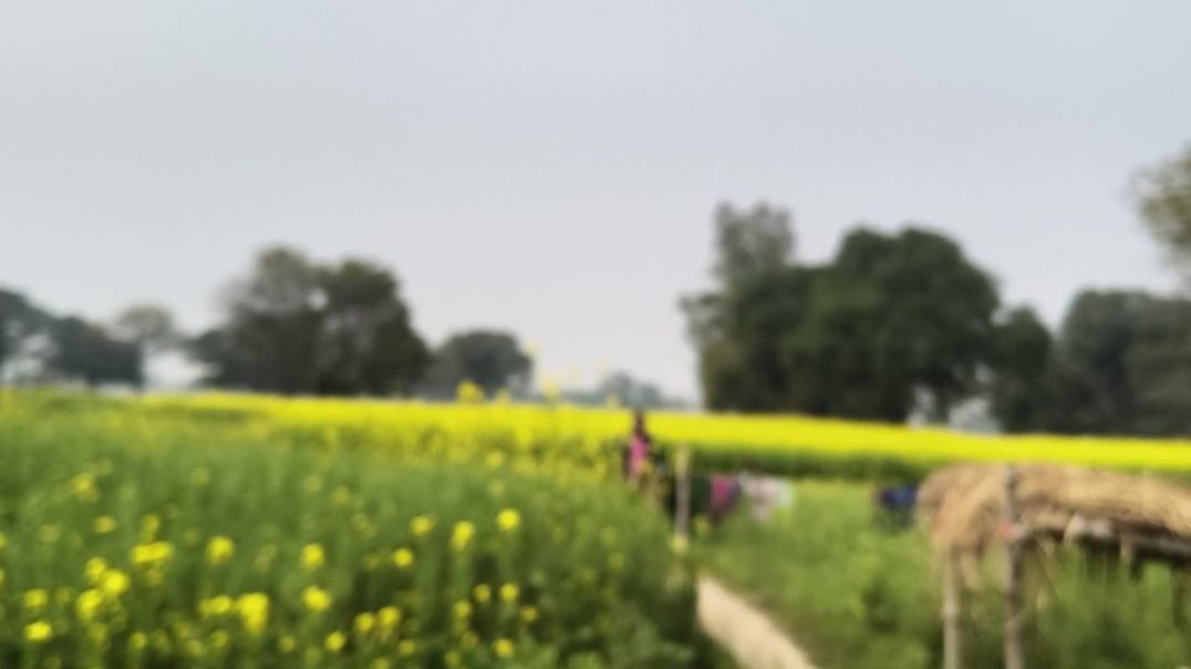 ⁣कॉमेडी कौशांबी