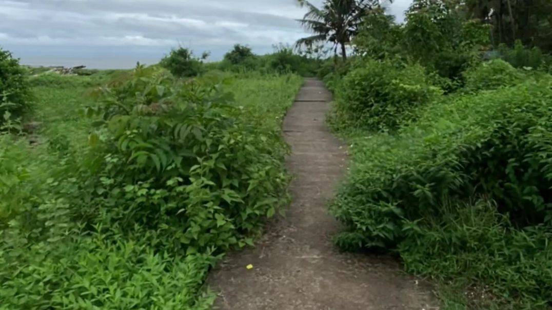 ⁣Random clip #krishnasevak