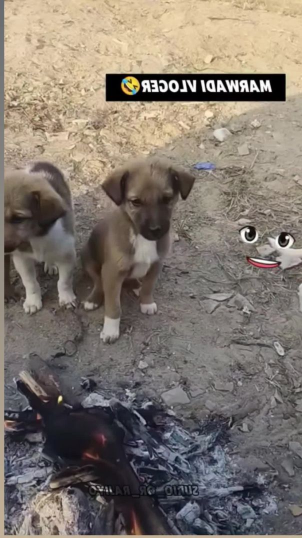 VID_20260211_192611_019