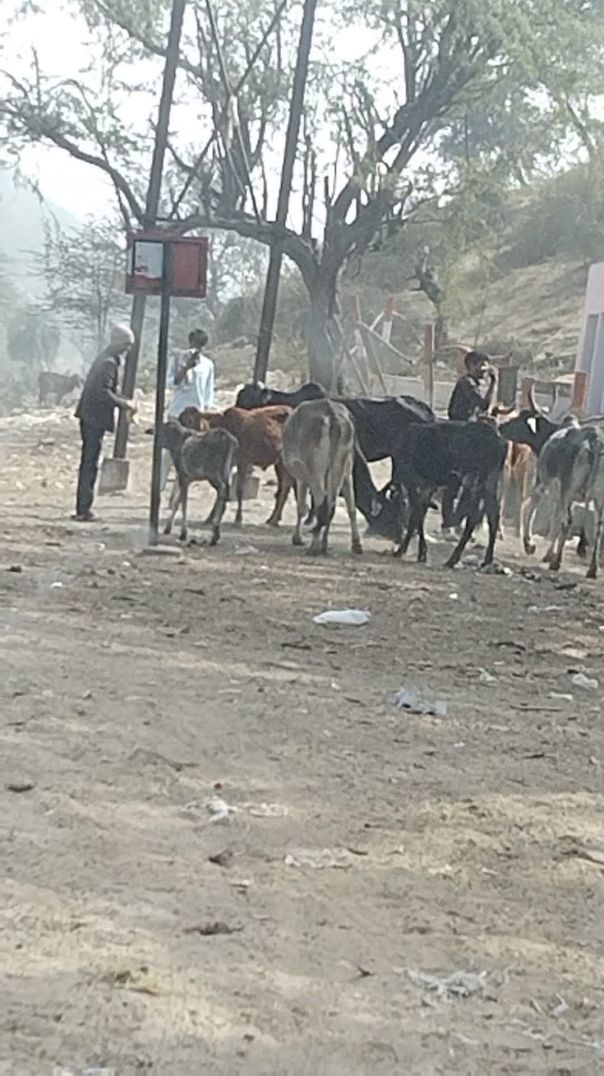 video_20260105_120958