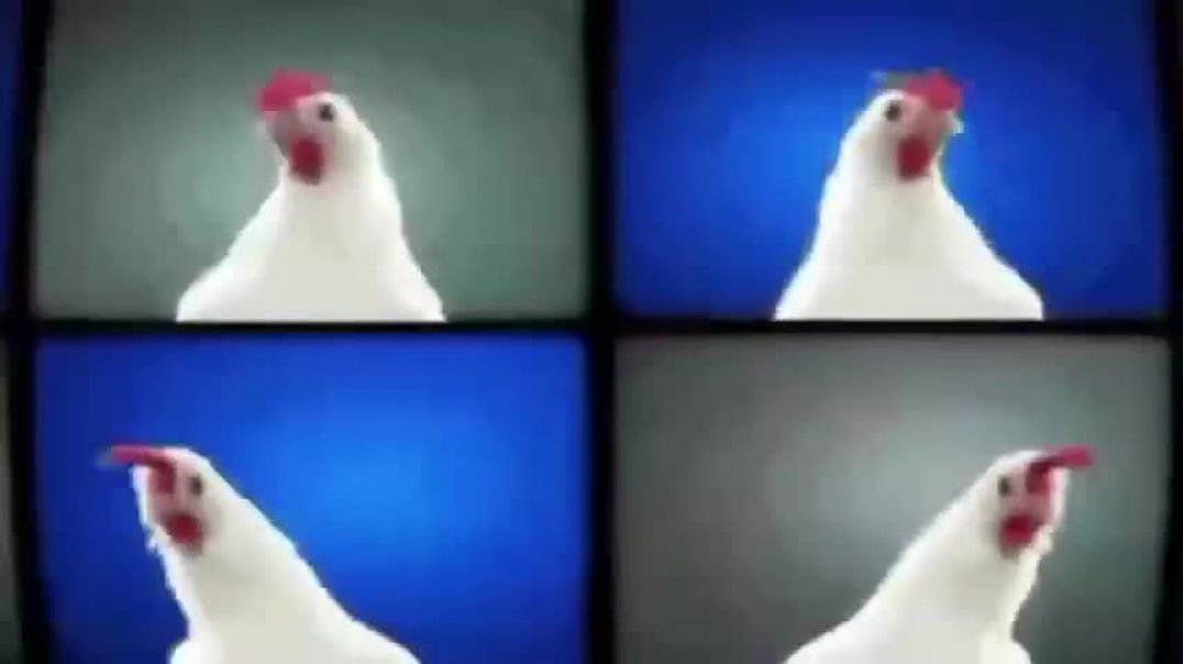 ⁣Funny Roosters Dance