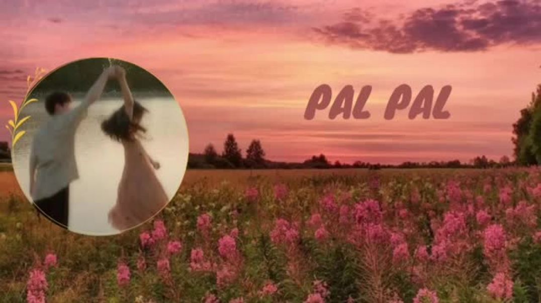 ⁣videoplayback (5)  pal pal mashap songs all in new warzion 2025