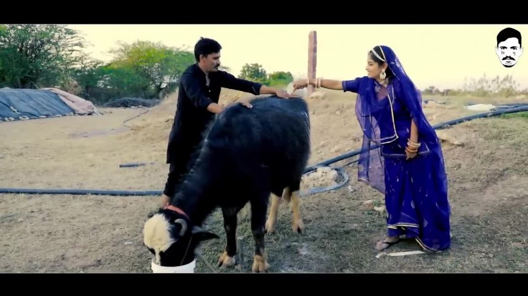 ⁣चौधरी || Choudhary || New Rajasthani | LICHU MARWADI|