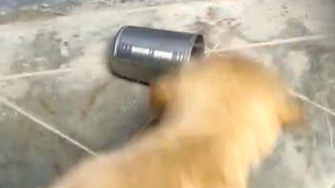 ⁣VID-20210722-WA0039